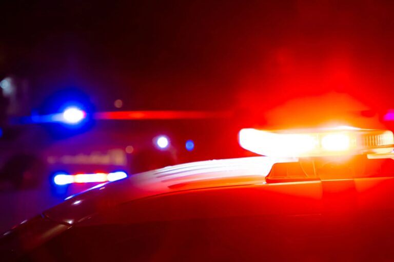 newspress-collage-ox4smmiwg-1768054607650