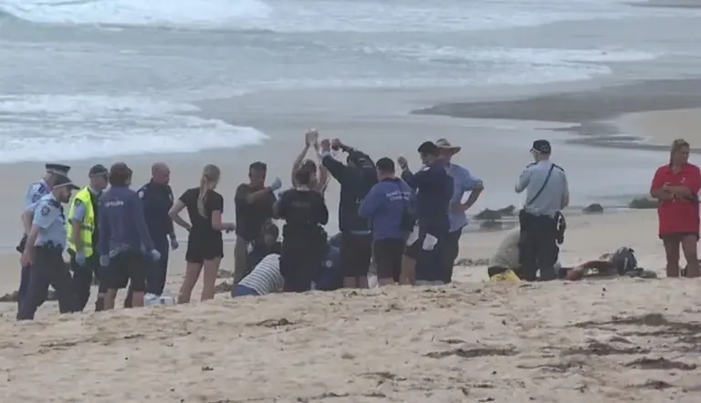 shark-horror-second-boy-attacked-1052555159