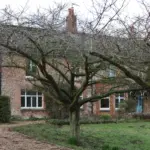 2026-sandringham-norfolk-according-reports-1056447213